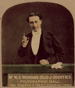 Bay WS Woodins Tuhaflıklar Olio
