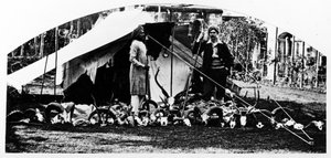 Hint Av Kupalarım, 1870