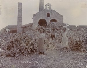 Newcastle Ovası, 1880 by English Photographer