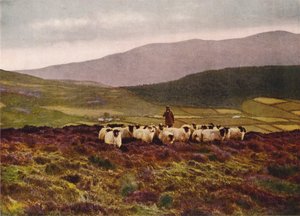Mourne Dağlarında, County Down (renkli fotoğraf) by English Photographer
