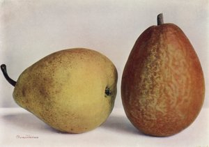 Armutlar, Emile d