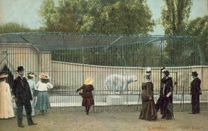 Londra Hayvanat Bahçesi