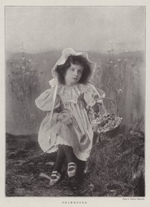 çuha çiçeği by English Photographer