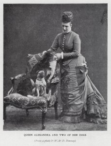 Kraliçe Alexandra ve iki köpeği (s/b fotoğraf) by English Photographer