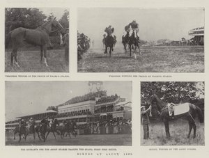 Ascot