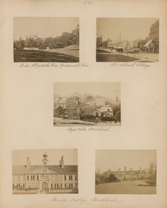 Blackheath görüntüleri dizisi by English Photographer