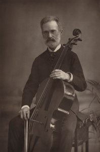 Bay Patti by English Photographer