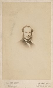Sir John Tenniel, sanatçı