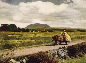 Slemish, County Antrim (renkli fotoğraf) by English Photographer