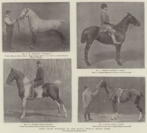 Royal Dublin Horse Show