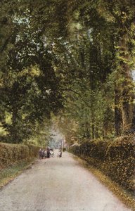 Spencer Yolu, Ryde by English Photographer