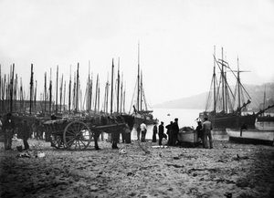 St Ives Limanı Carbis Körfezi