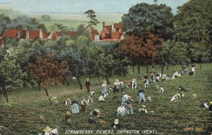 Orpington, Kent