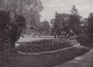 Alt Tropikal Bahçeler, Battersea Parkı by English Photographer
