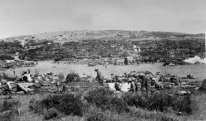 Suvla Koyu, Gelibolu, Çikolata Tepesi, 1915 dolayları by English Photographer