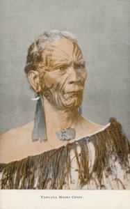 Tangata Maori Şefi (fotoğraf) by English Photographer