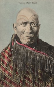 Dövmeli Maori Şefi (fotoğraf) by English Photographer