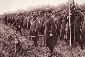 Salisbury Ovası üzerine Anzak incelemesi: Avustralyalı bir maskot, The Illustrated War News