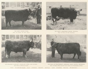The Birmingham Fat Stock Show, Royal ve diğer Ödül Kazananlar