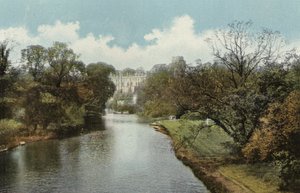 Kale, Warwick by English Photographer