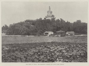 Çin'deki Kriz, İmparatorlar Bahçesi ve Lotus Gölü, Pekin by English Photographer