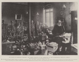 Ünlü Bilim Adamı Profesör Virchow
