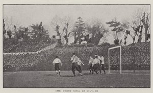 Derbi Golü Tehlikede by English Photographer