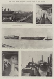 Çiçek Hastalığı ile Mücadele, Thames