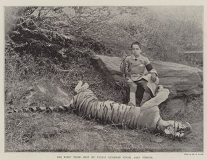 İlk Kaplan, On İki Yaşlı Prens Bughwan Singh tarafından vuruldu by English Photographer