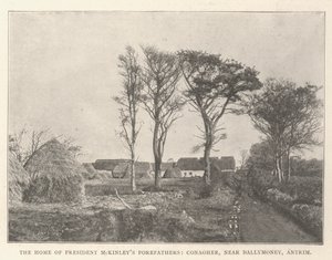 Başkan McKinley