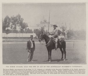 Horse Bugler, Adelaide