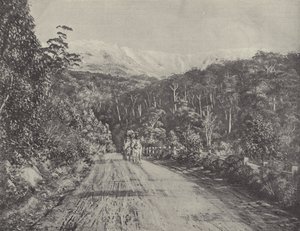 Huon Yolu by English Photographer