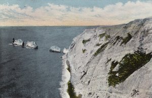 iğneler by English Photographer