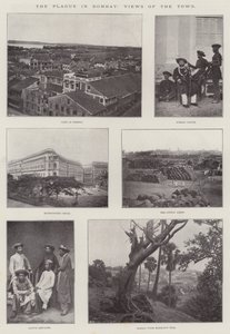 Bombay