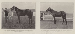 Newmarket