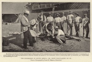 Güney Afrika