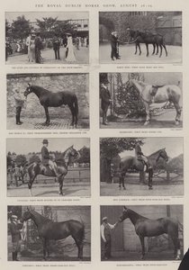 Royal Dublin At Gösterisi, 26-29 Ağustos by English Photographer