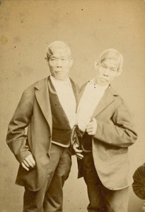 Siyam Gençleri; fotoğraf; Mısır Salonu, Piccadilly, Londra