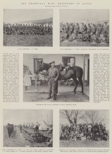 Transvaal Savaşı, Natal Savunucuları