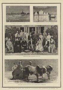 SAİK Clarence Dükü ve Avondale