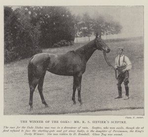Oaks