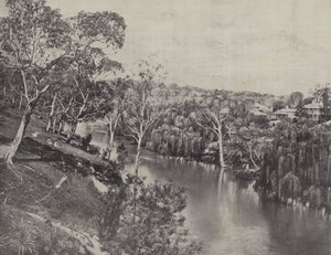Studley Park