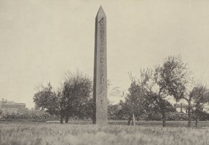 Musa