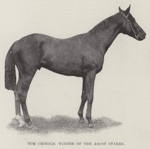 Ascot Stakes Kazanan Tom Cringle by English Photographer
