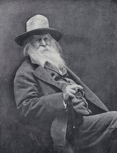Walt Whitman (s/b fotoğraf) by English Photographer