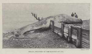 Birchington-on-Sea