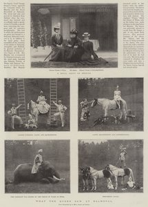Kraliçe Balmoral
