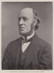 Dublin Üniversitesi için William Edward Hartpole Lecky, LLD, DCL, MP by English Photographer
