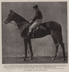Winkfields Pride, Cambridgeshire Stakes Kazanan by English Photographer