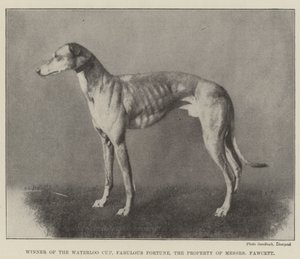 Waterloo Kupasını Kazanan, Fabulous Fortune, Messers Fawcett